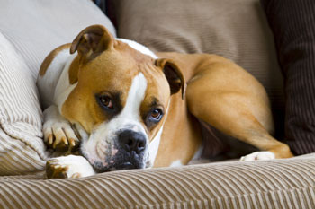 Bildquelle - © iStock