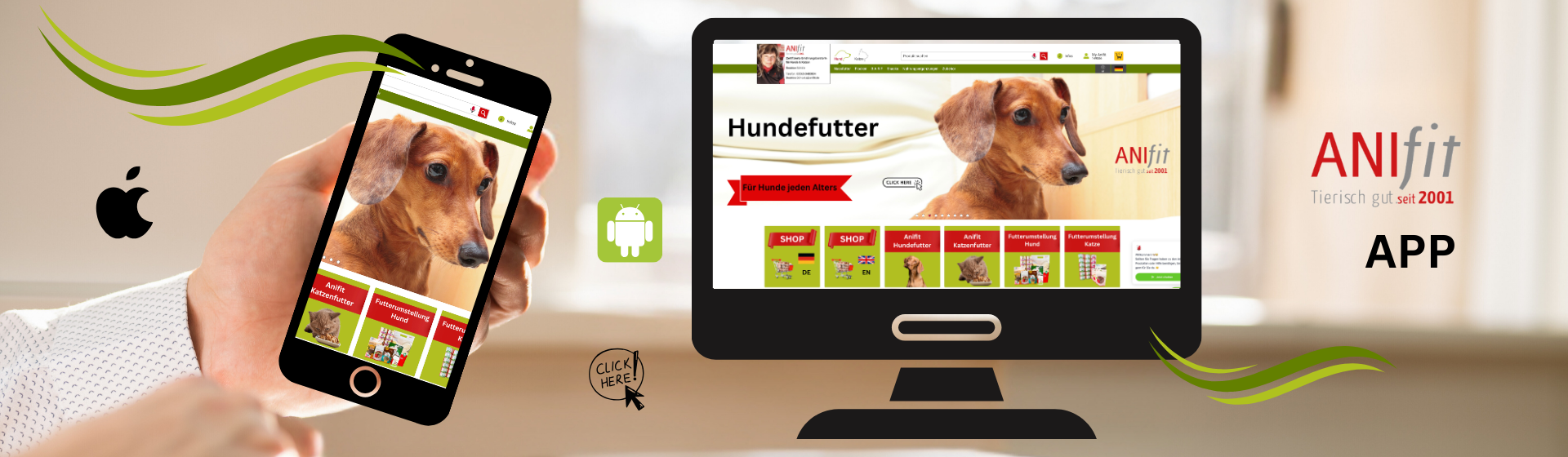 Anifit APP