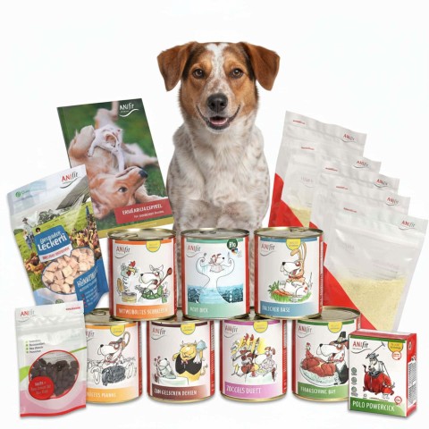 beste nassfutter hunde Feines Hundefutter mit viel Fleisch von Rind & Herz main image 0