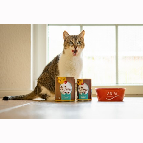 Cat Wet pet food RyCat Organic Duck (Bio-Ente) 400g 6 Piece -3- Anifit